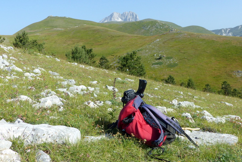 Orchidee a Campo Imperatore tra Medioevo e wilderness  primavera 2023